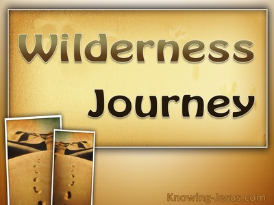 Wilderness Journey (devotional)05-21 (brown)